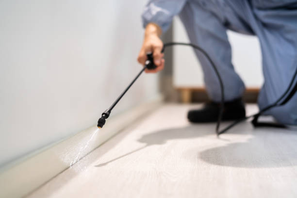 Licensed Fumigation Services service in Crescent City, FL - Nex Pest Control