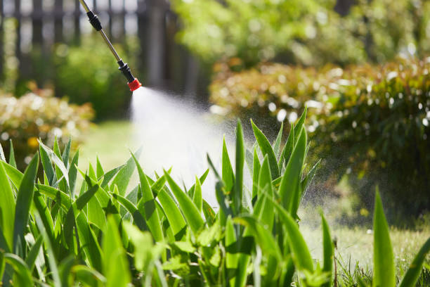 24/7 Emergency Fumigation Services experts in Crescent City, FL