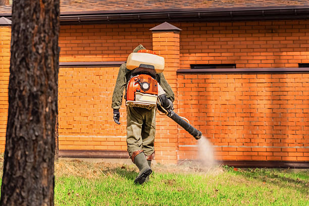 Trusted Mosquito Control service in Crescent City, FL - Nex Pest Control